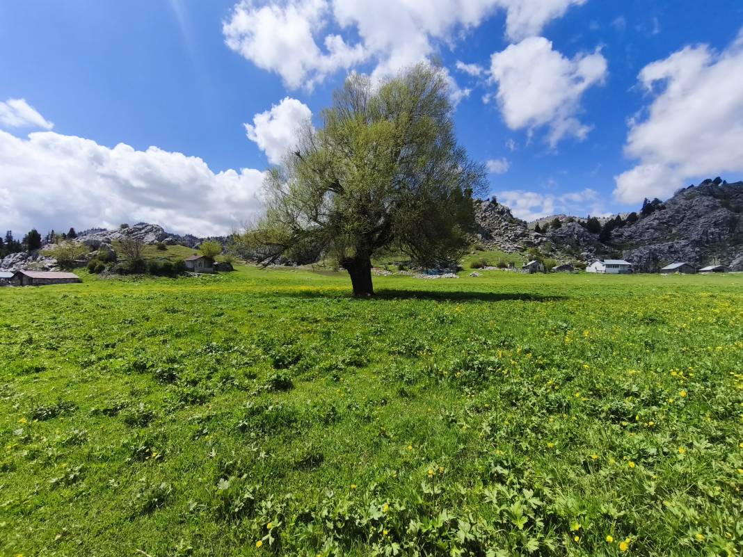 Konya’nın ünlü yaylasında baharın renkli yüzü çıktı 12